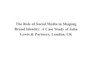 conduct research and provide professional summary and report